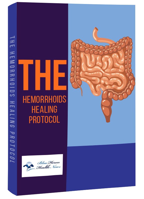 The hemorrhoids healing protocol