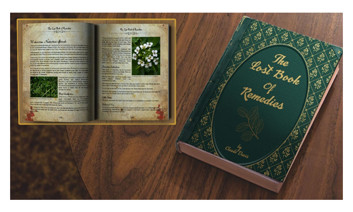 The Lost Book of Remedies review