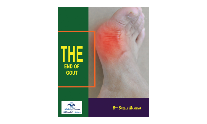 The End of Gout review