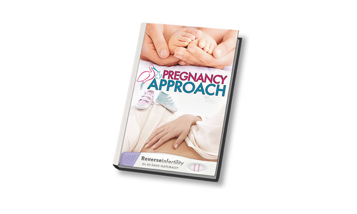 pregnancy approach review