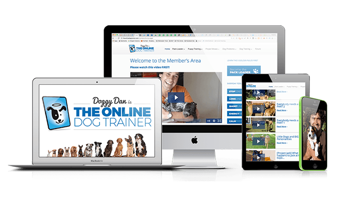 doggy dan the online dog trainer review