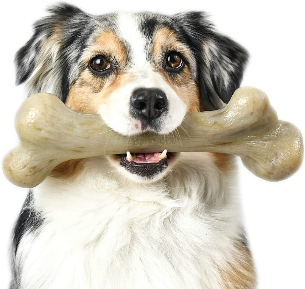 Best-Dog-Bones-For-Your-Furry-Friends