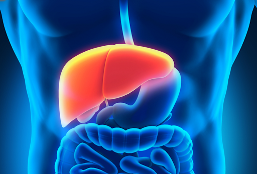 What Are The Liver Sickness Caused? Side Effects And Findings